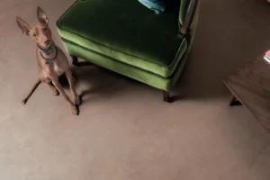 Lime Flooring (Marmorino Flooring)